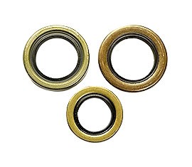 Oil Seal